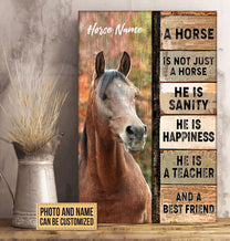 Personalized A Horse Not Just A Horse Poster & Canvas